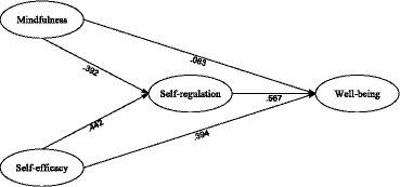 Mindfulness, self-efficacy, and self-regulation as predictors of psychological well-being in EFL learners